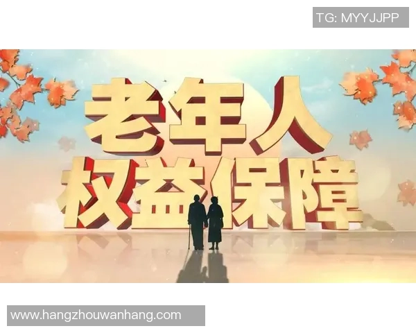 养老政策：保障老年人权益，提升生活品质